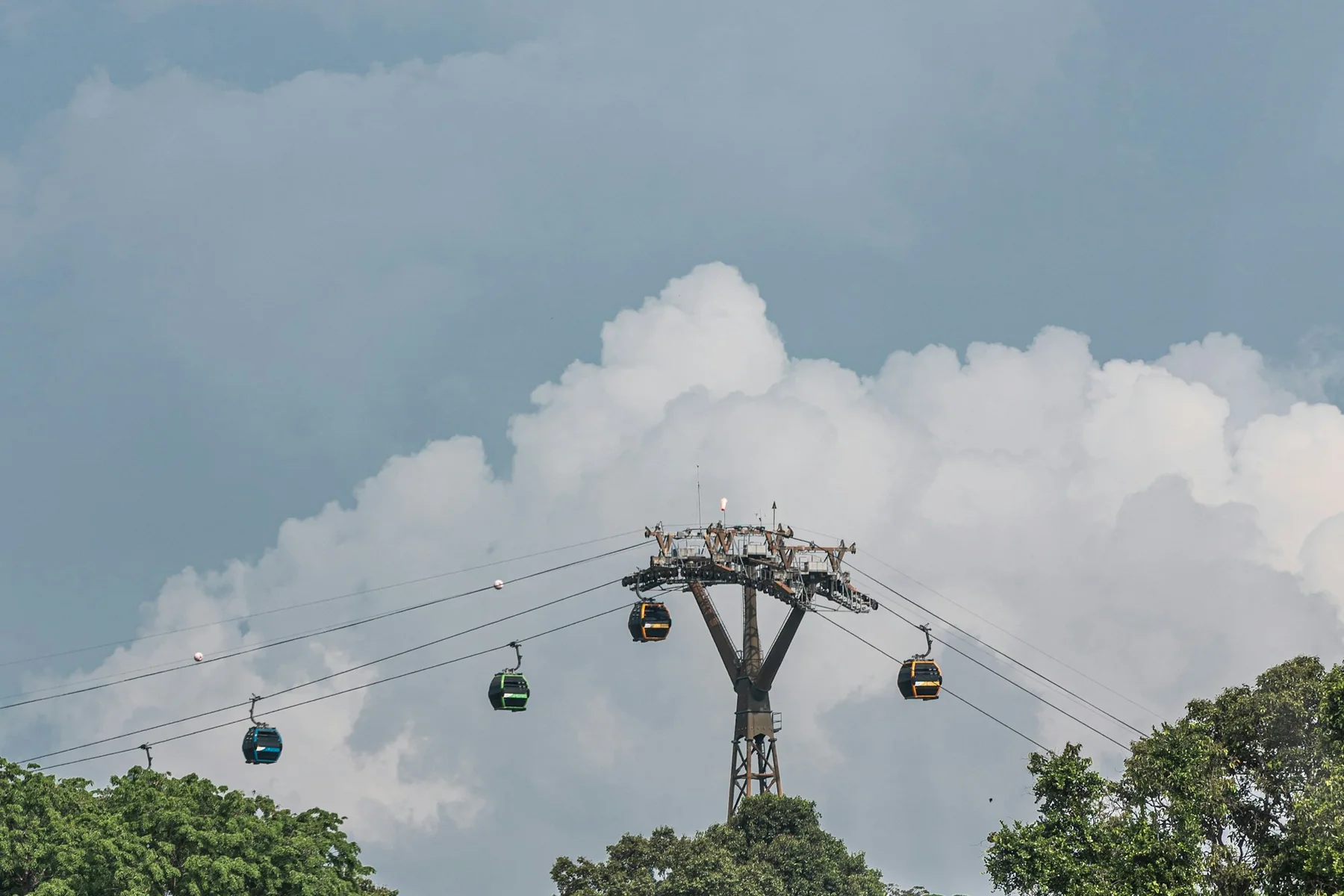 Sentosa cable cars gliding over the treetops