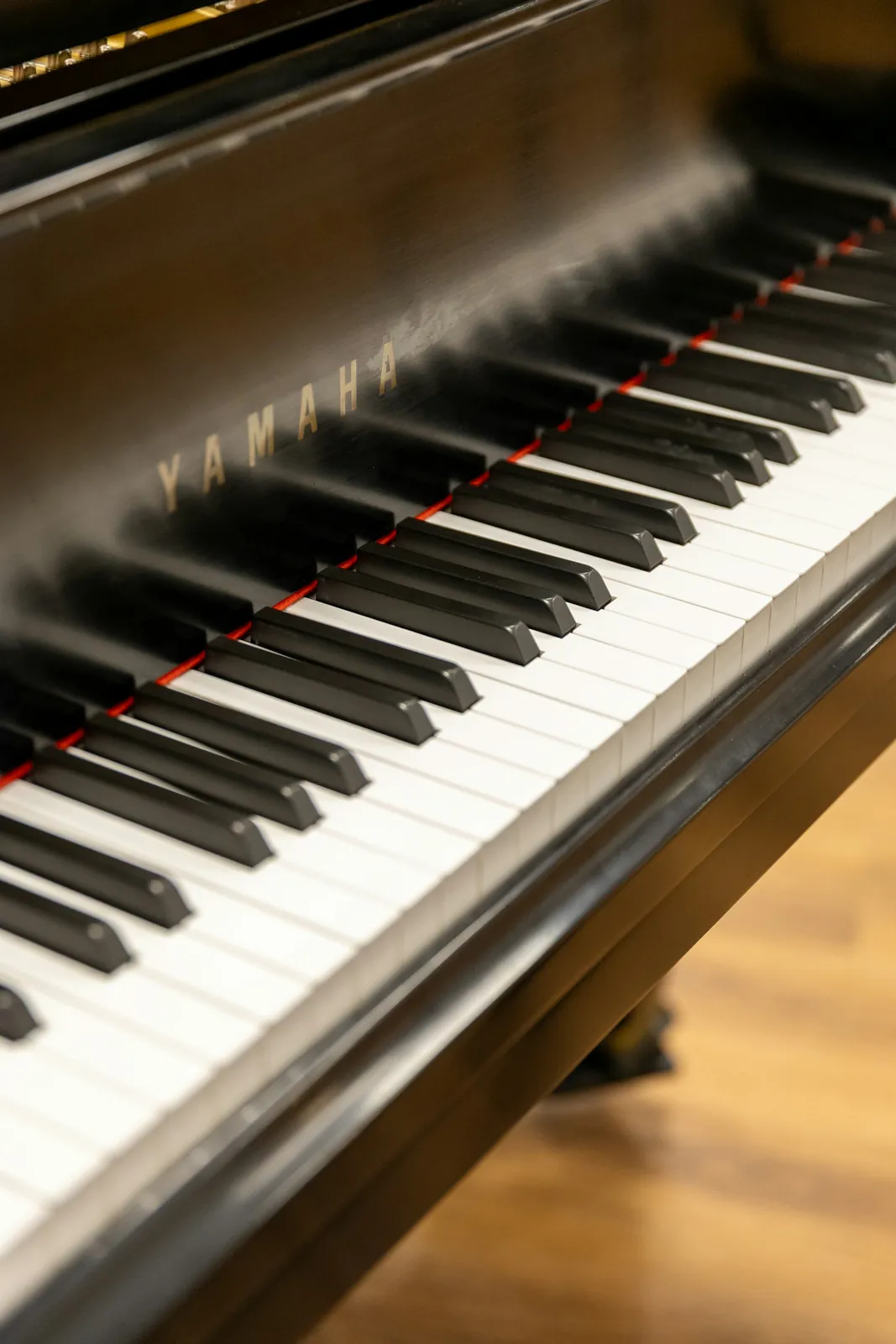 Close-up of the keys of a black grand piano