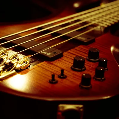 Close-up of a red five-string bass guitar with gold hardware