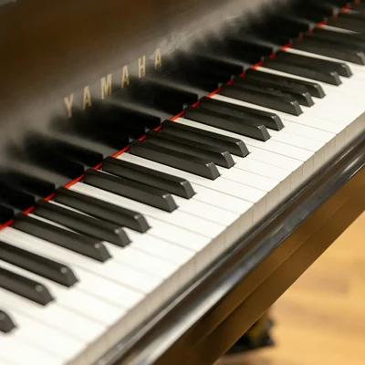 Close-up of the keys of a black grand piano